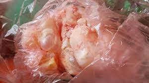 bong bong ca tuoi